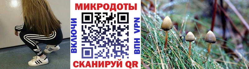 Псилоцибиновые грибы Cubensis blacksprut tor Сафоново