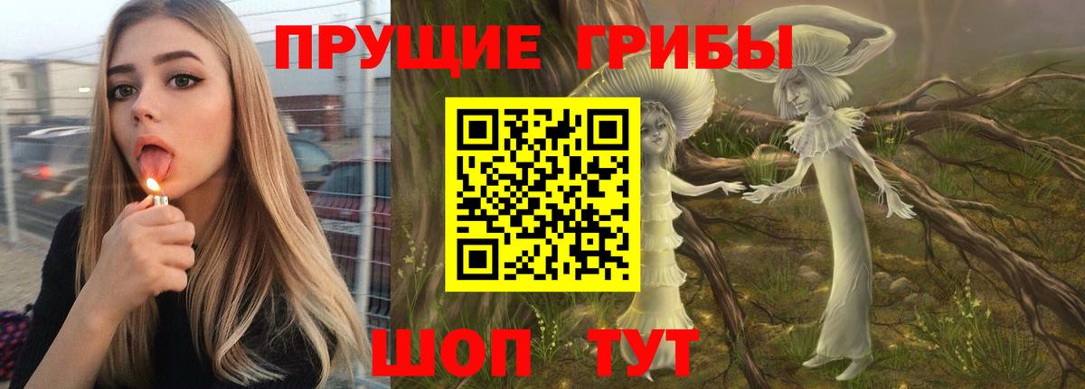 Псилоцибиновые грибы мицелий  Вход с VPN  Сафоново 