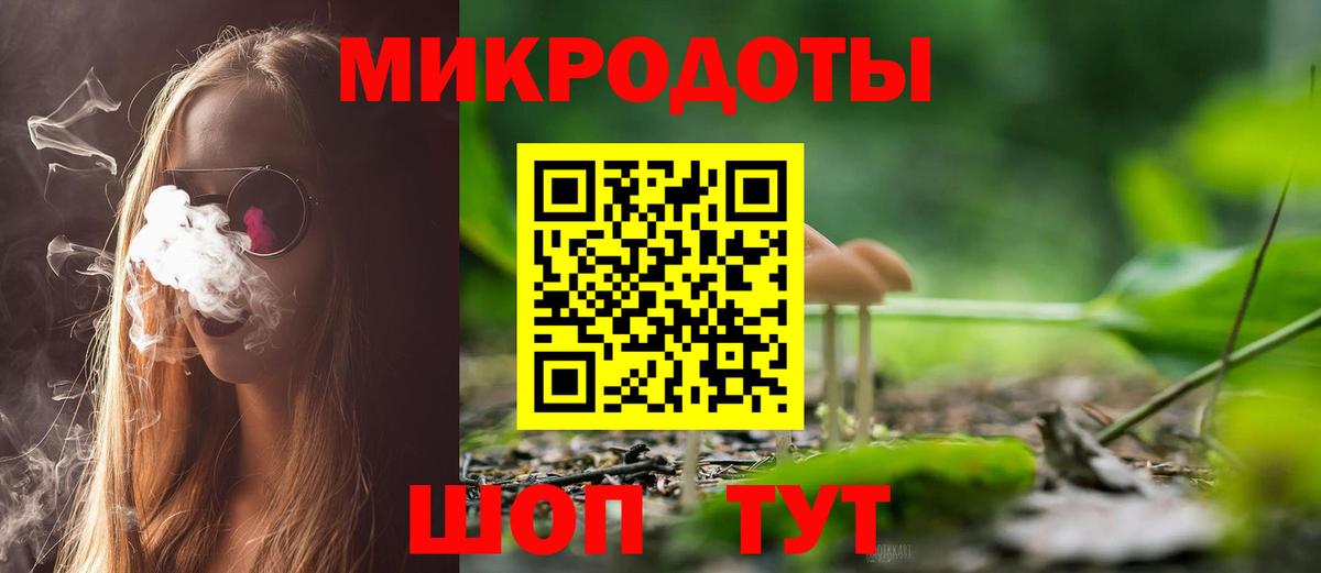 Псилоцибиновые грибы Cubensis Сафоново